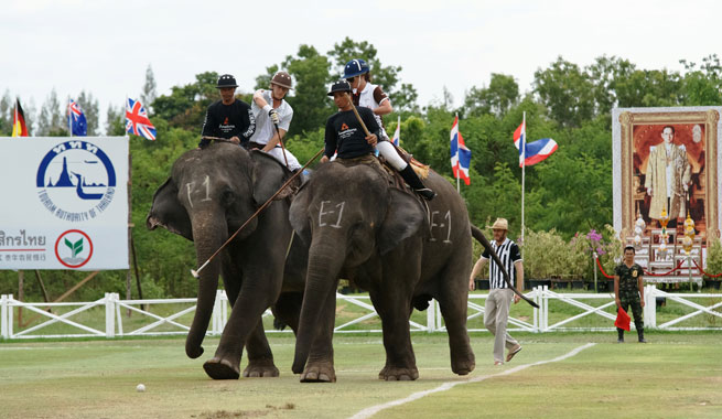 King’s Cup Elephant Polo 2014