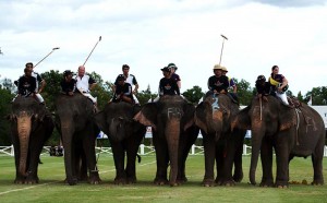 King’s Cup Elephant Polo 2014