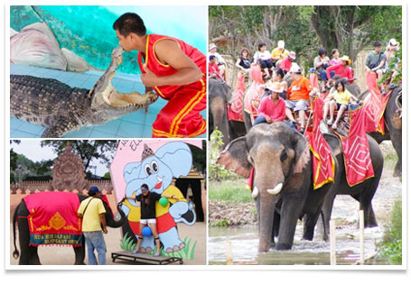 Hua Hin Safari & Adventure Park